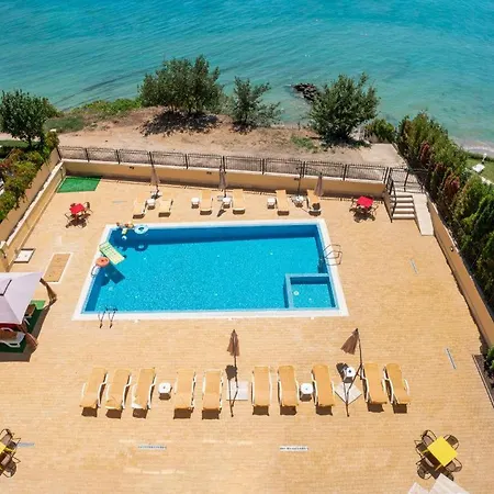 Horizon 19 'a' * スヴェティ・ヴラス